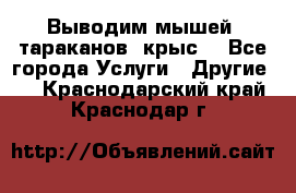 Выводим мышей ,тараканов, крыс. - Все города Услуги » Другие   . Краснодарский край,Краснодар г.